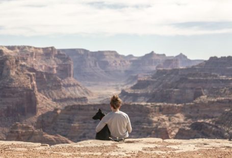 Travel Exercise - person with dog sitting on Grand Canyon cliff