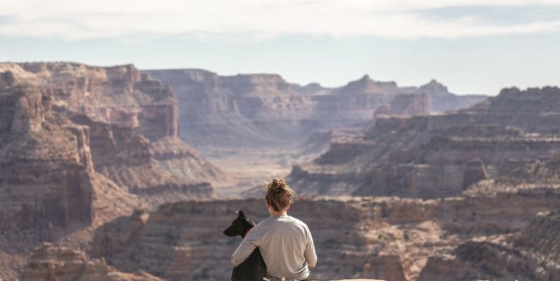 Travel Exercise - person with dog sitting on Grand Canyon cliff