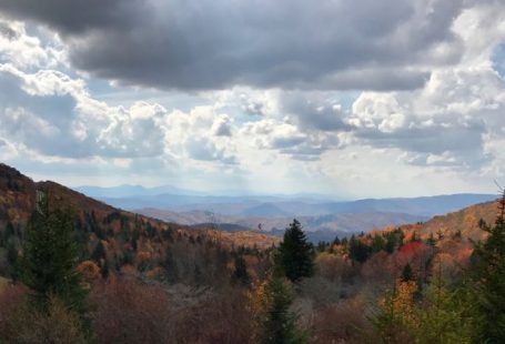 Appalachian Trail - pine trees and mountains under white clouds