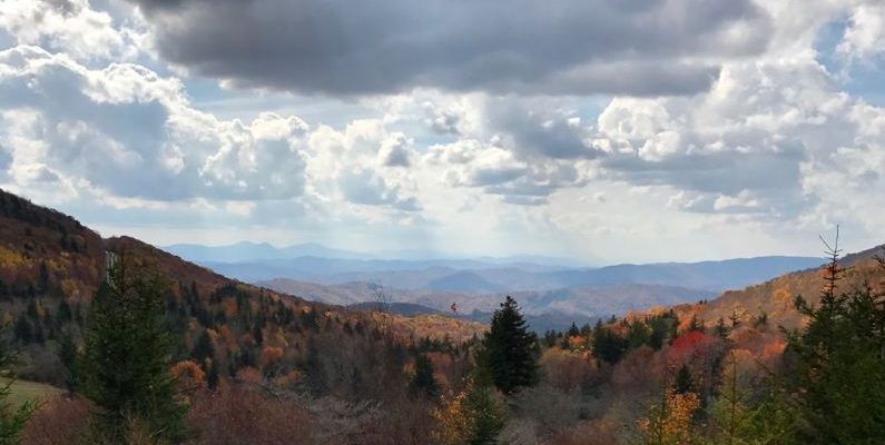 Appalachian Trail - pine trees and mountains under white clouds