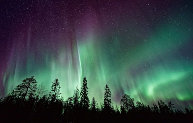 Northern Lights - silhouette of trees near Aurora Borealis at night