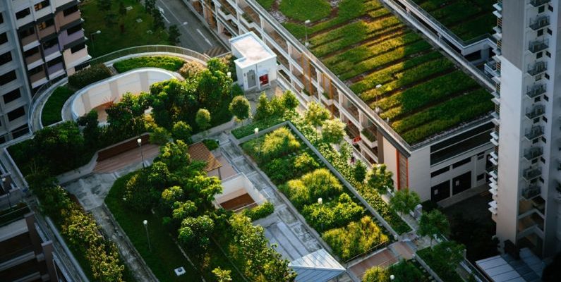 Green City - top view of building with trees