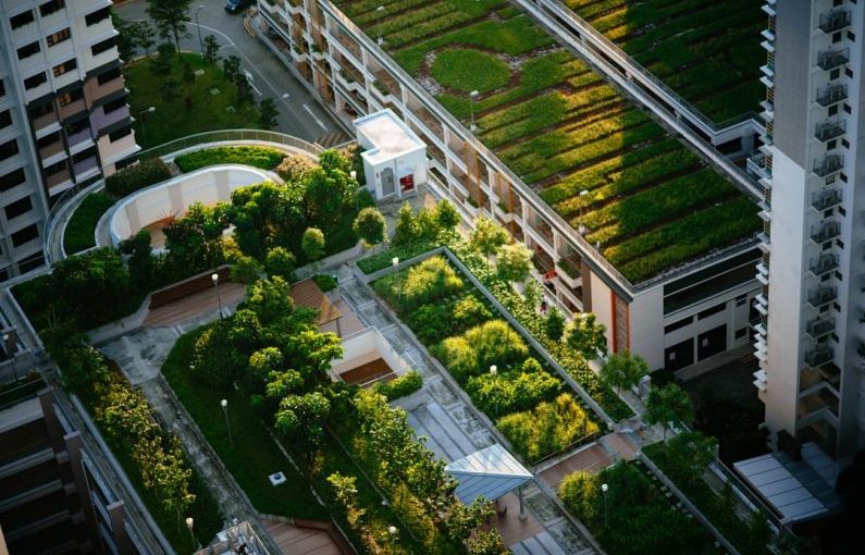 Green City - top view of building with trees