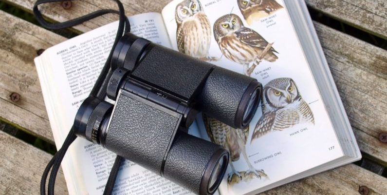 Bird Watching - black binoculars on opened book