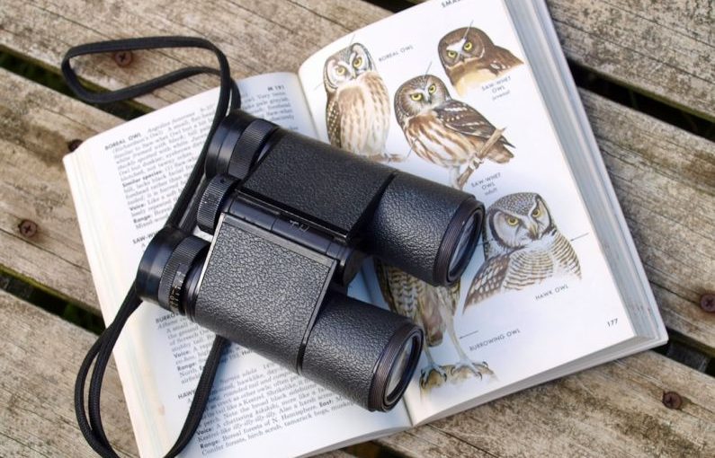 Bird Watching - black binoculars on opened book
