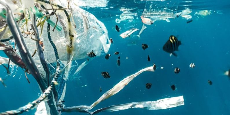 Ocean Plastic - school of fish in water