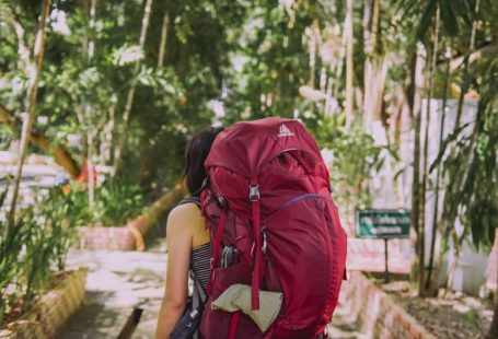 Backpack Travel - person with red trekker backpack standing on pathway surrounded with tall and green trees during daytime